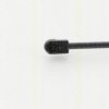 TRISCAN 8710 29143 Gas Spring, bonnet